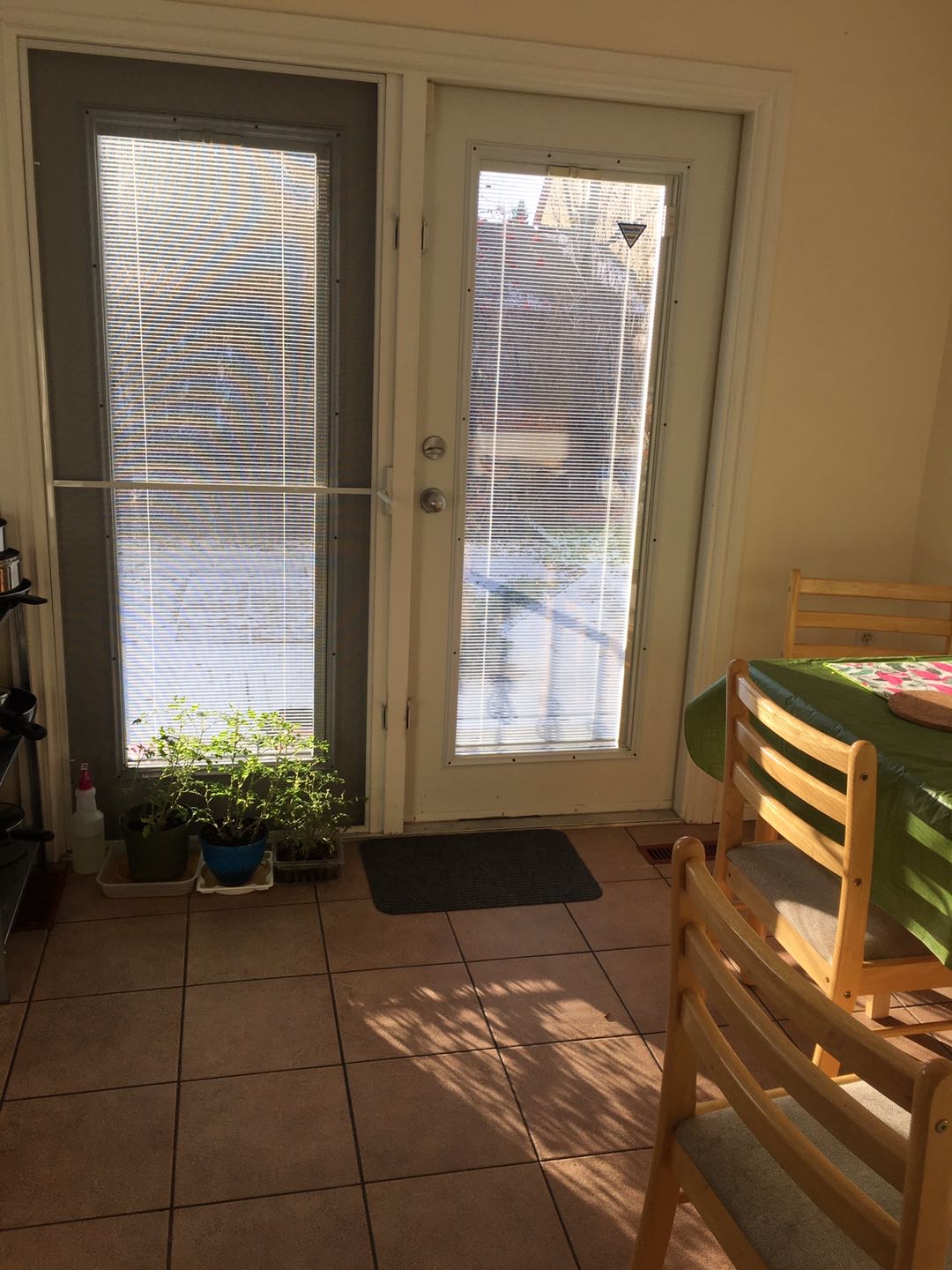 地铁附近女生house出租$500全包