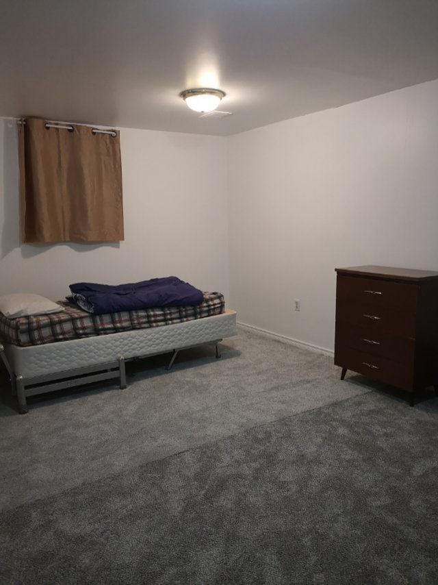 Regina 南面近大学有房间出租