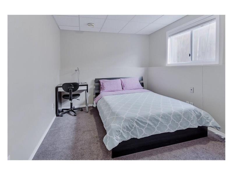 西北Hampton superstore旁两室一厅一厨一卫walkout basement出租 - 3