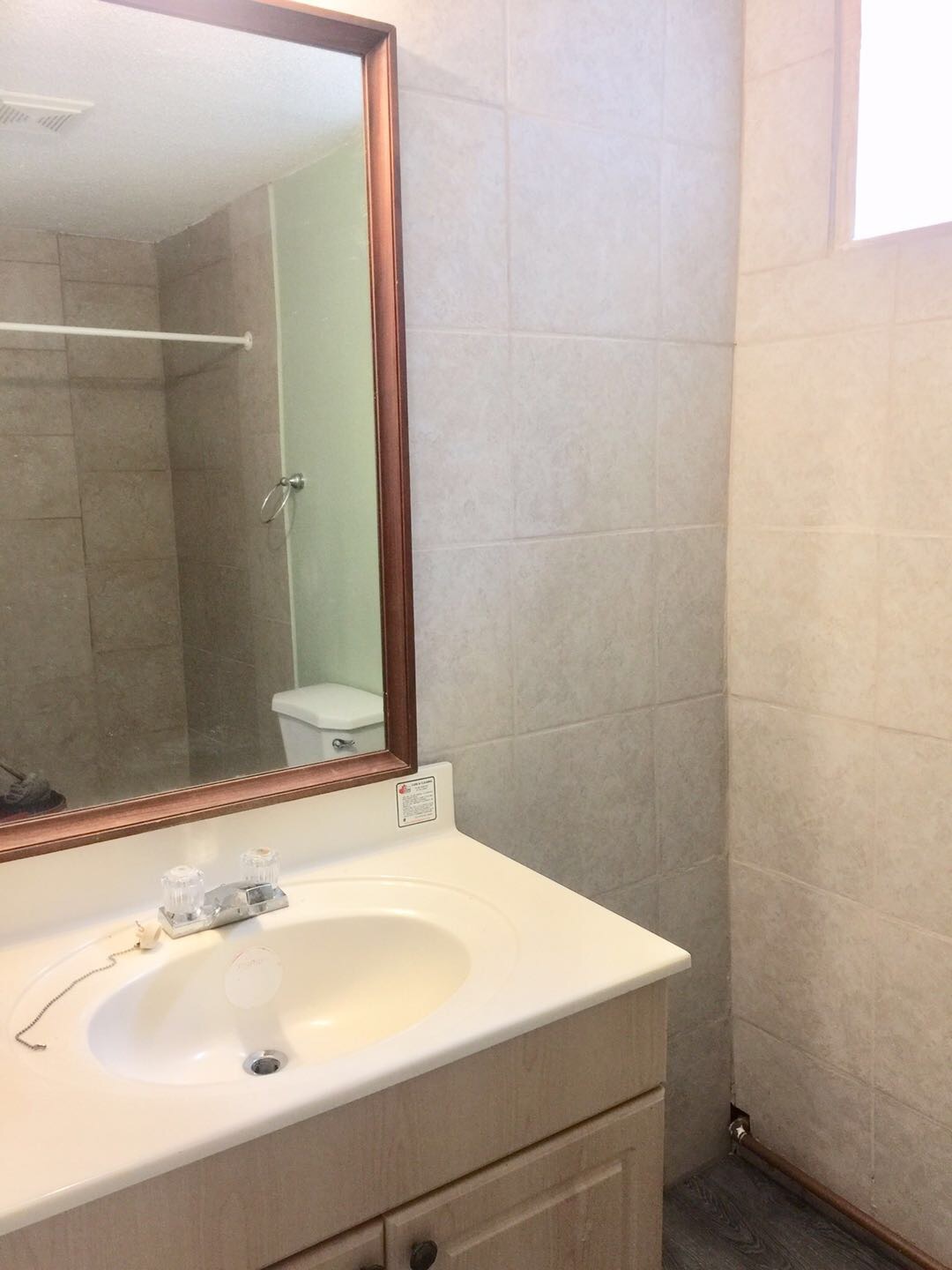 中央街54Ave 新装修大窗户3室一厅两全侧walkout basement - 9