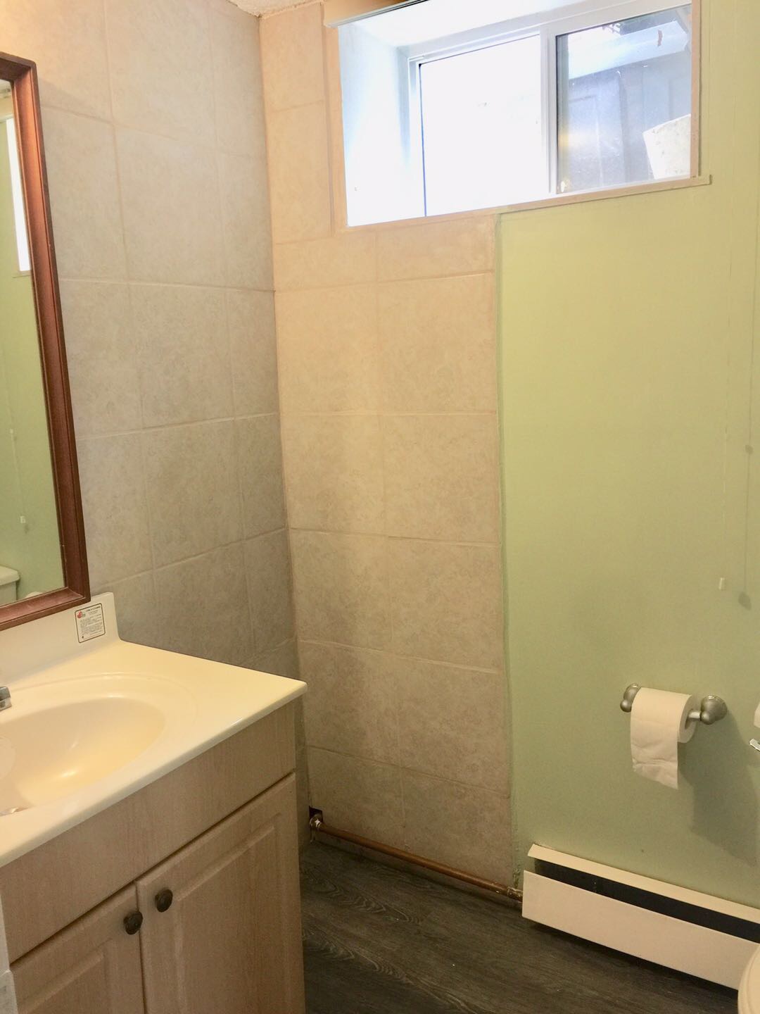 中央街54Ave 新装修大窗户3室一厅两全侧walkout basement - 8