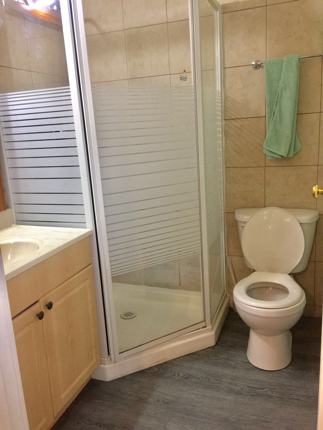 中央街54Ave 新装修大窗户3室一厅两全侧walkout basement - 4