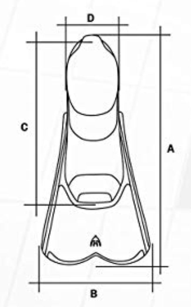 游泳训练脚蹼（尺寸10/11） - 4